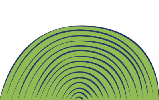 Tailored Program Support