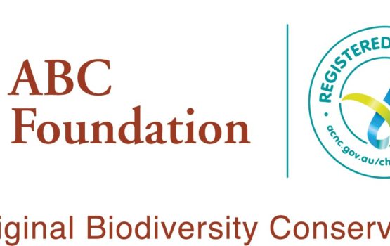 ABC Foundation