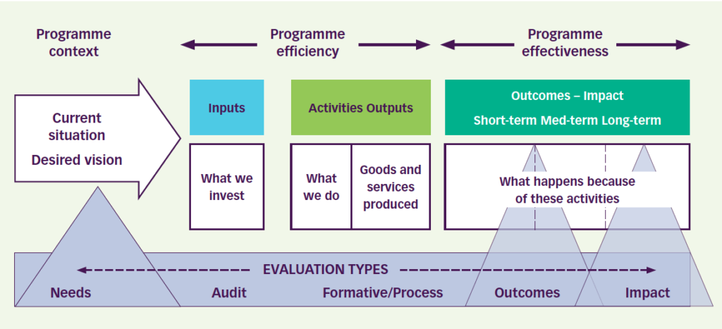 Program Logic Model